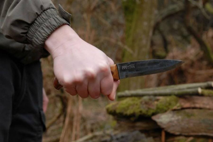 Pica a sus hermanos y es detenido, en Saltillo