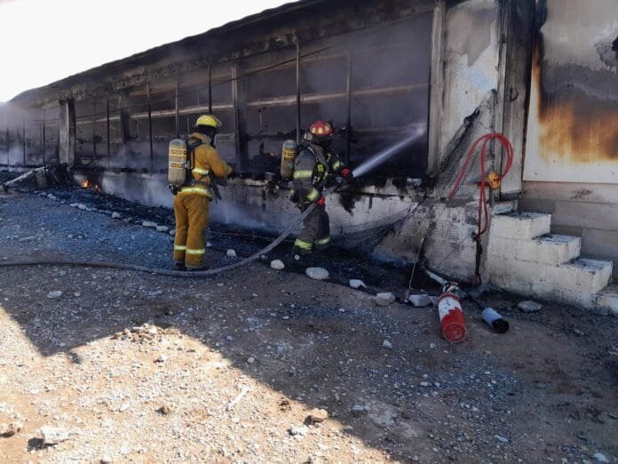 12 mil aves muertas deja incendio en nave de Bachoco