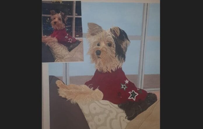 Piedras Negras: Obras de arte que tejen una red de solidaridad en beneficio de los animales