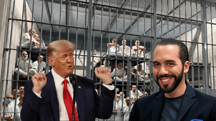 Trump y Bukele “mejores amigos”; anuncian reunión con entusiasmo