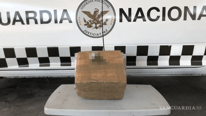 Detectan mariguana en camión de paquetería en Allende; provenía de Monterrey