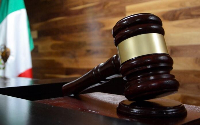 Abstención en elección judicial fortalecería al oficialismo: expertos
