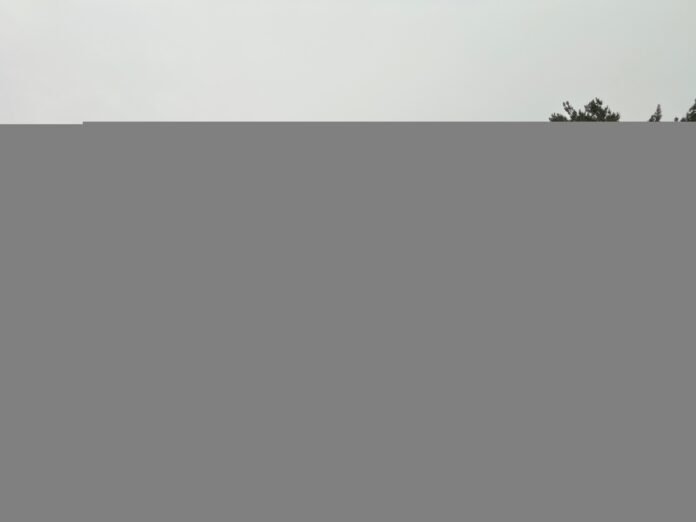 Pese a caída de árboles y caos vial por lluvias, Saltillo reporta saldo blanco; concierto en Plaza de Armas, sin cambios