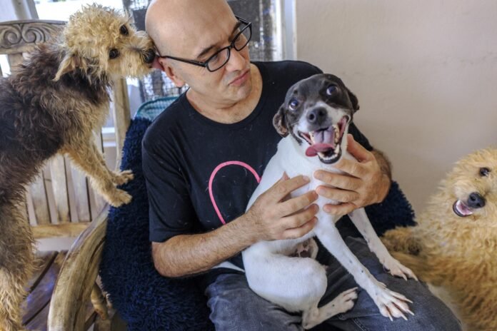 Mascotas abandonadas por migrantes deportados agravan crisis de refugios animales en EU