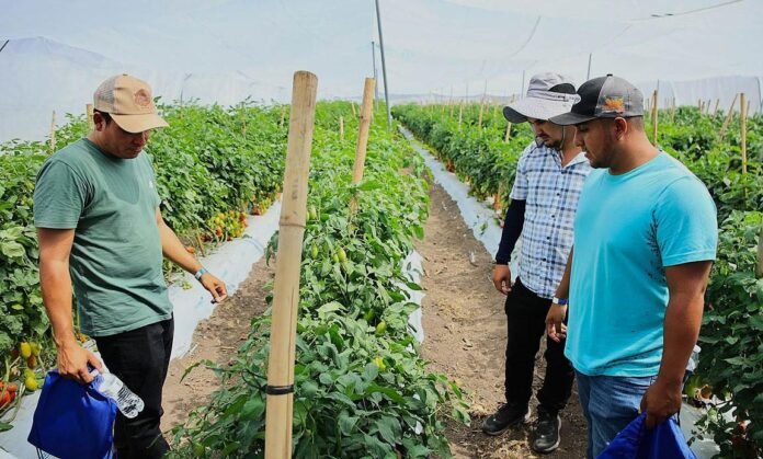Todo listo para que arranque el 1er Encuentro Nacional de Egresados de Horticultura UAAAN 2025, en Saltillo
