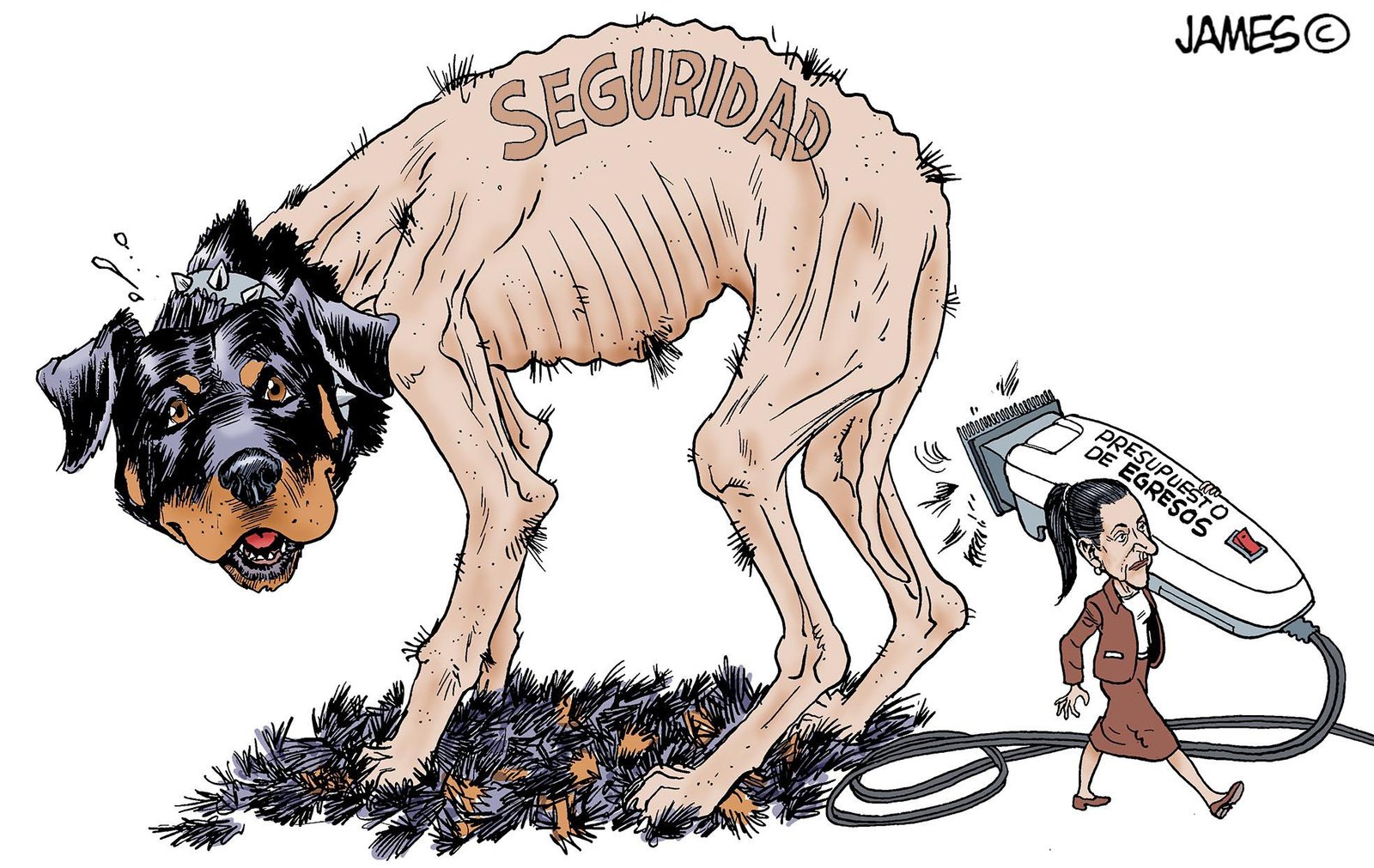 Trasquilada a la seguridad