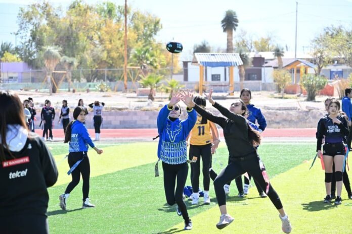 624290269_1457935806343192_1993221985598404150_n