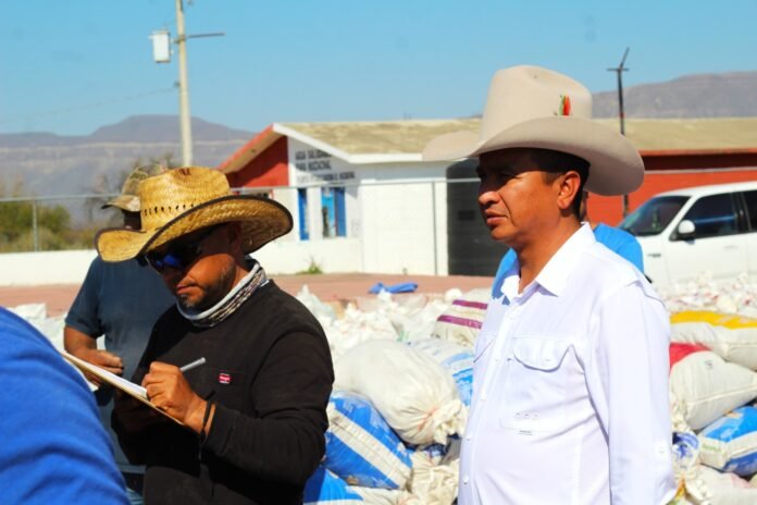 626805925_1458698839600222_7502064826665970410_n