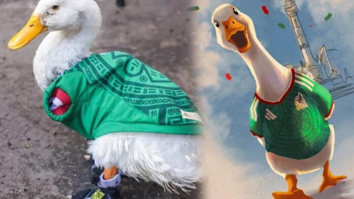 La increíble historia de Merlín... el Pato mundialista que se hizo viral